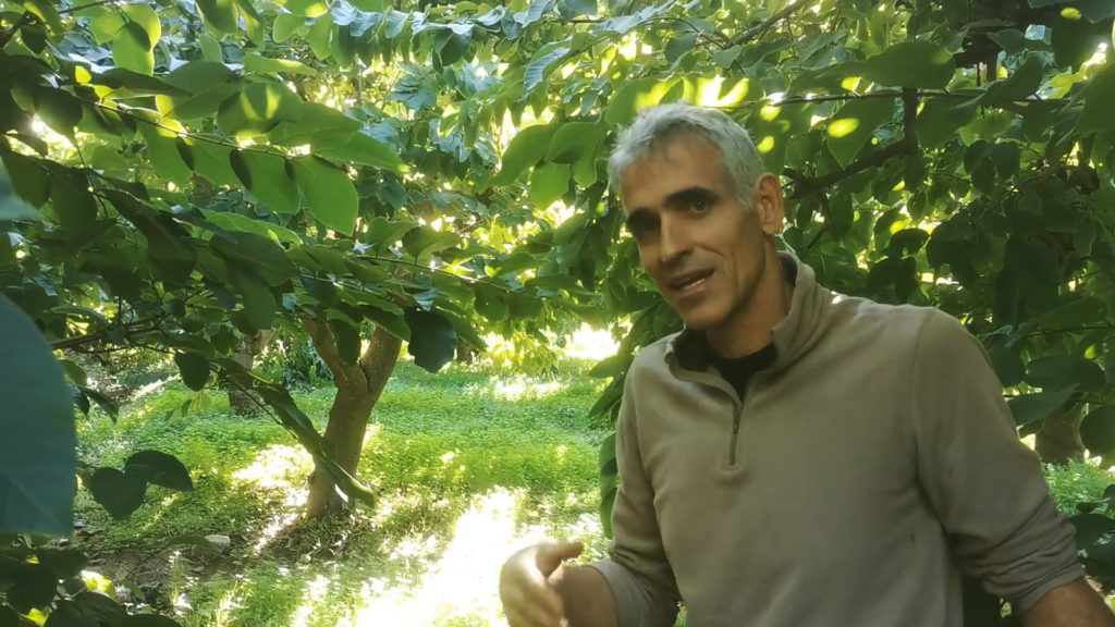José González standing in his custard apple orchard