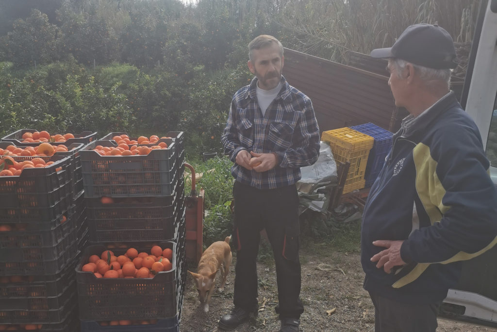 Paco Bedoya with the morning harvest