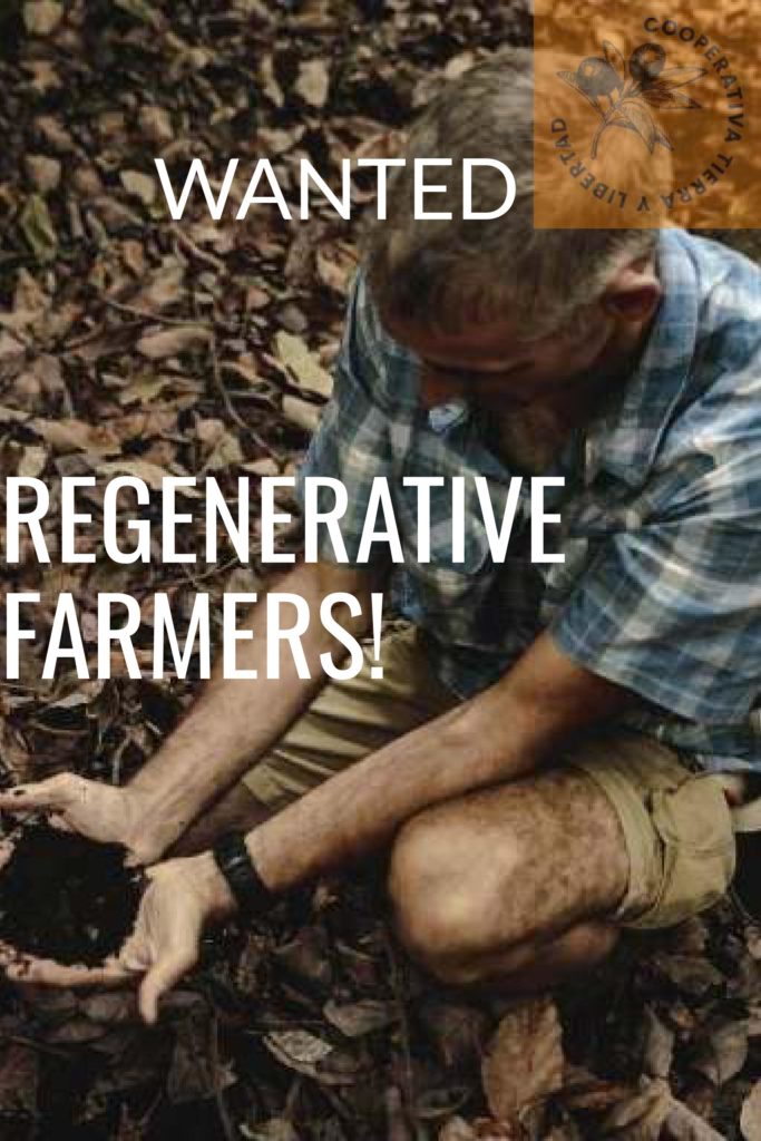 Un agricultor sosteniendo la tierra en sus manos