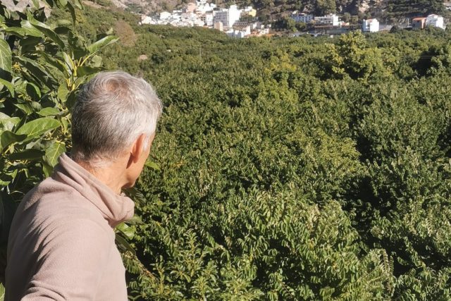 La clave para revertir la despoblación rural